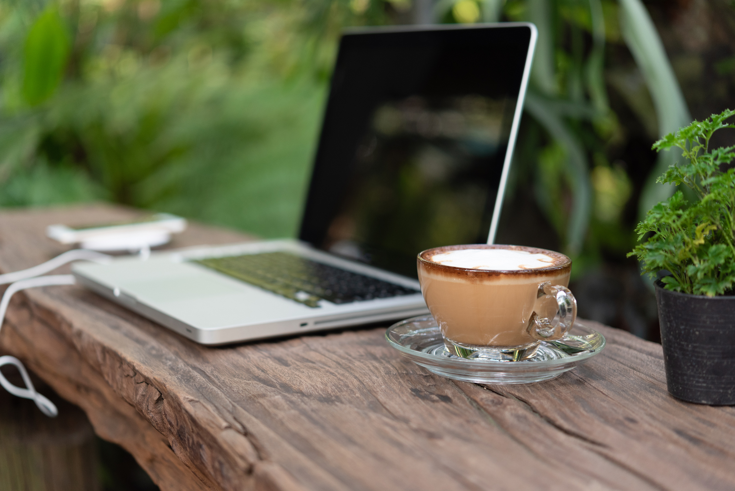 coffee and laptop in garden, outdoor office